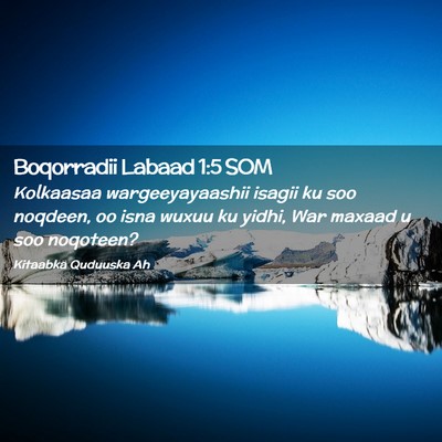 Picture 02 - Boqorradii Labaad 1:5 SOM - Kolkaasaa wargeeyayaashii isagii ku soo noqdeen, - Bible Verse Picture
