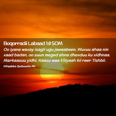 Picture 02 - Boqorradii Labaad 1:8 SOM - Oo iyana waxay isagii ugu jawaabeen, Wuxuu ahaa - Bible Verse Picture