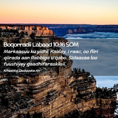 Picture 02 - Boqorradii Labaad 10:16 SOM - Markaasuu ku yidhi, Kaalay, i raac, oo fiiri - Bible Verse Picture