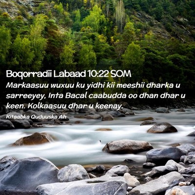 Picture 02 - Boqorradii Labaad 10:22 SOM - Markaasuu wuxuu ku yidhi kii meeshii dharka u - Bible Verse Picture