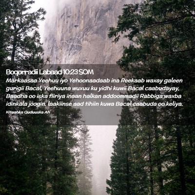 Picture 02 - Boqorradii Labaad 10:23 SOM - Markaasaa Yeehuu iyo Yehoonaadaab ina Reekaab - Bible Verse Picture