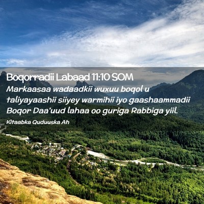 Picture 02 - Boqorradii Labaad 11:10 SOM - Markaasaa wadaadkii wuxuu boqol u taliyayaashii - Bible Verse Picture