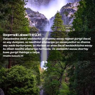 Picture 02 - Boqorradii Labaad 11:18 SOM - Dabadeedna dadkii waddanka oo dhammu waxay tageen - Bible Verse Picture