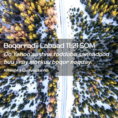 Picture 02 - Boqorradii Labaad 11:21 SOM - Oo Yehoo'aashna toddoba sannadood buu jiray - Bible Verse Picture