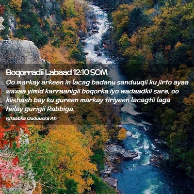 Picture 02 - Boqorradii Labaad 12:10 SOM - Oo markay arkeen in lacag badanu sanduuqii ku - Bible Verse Picture