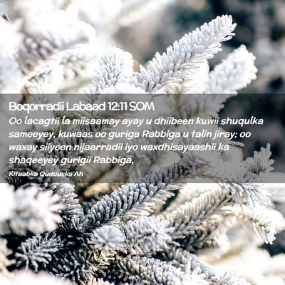 Picture 02 - Boqorradii Labaad 12:11 SOM - Oo lacagtii la miisaamay ayay u dhiibeen kuwii - Bible Verse Picture