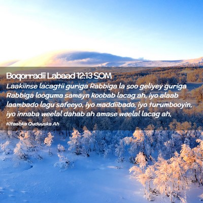 Picture 02 - Boqorradii Labaad 12:13 SOM - Laakiinse lacagtii guriga Rabbiga la soo geliyey - Bible Verse Picture
