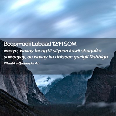 Picture 02 - Boqorradii Labaad 12:14 SOM - waayo, waxay lacagtii siiyeen kuwii shuqulka - Bible Verse Picture
