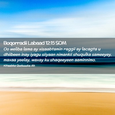 Picture 02 - Boqorradii Labaad 12:15 SOM - Oo weliba lama ay xisaabtamin raggii ay lacagta u - Bible Verse Picture