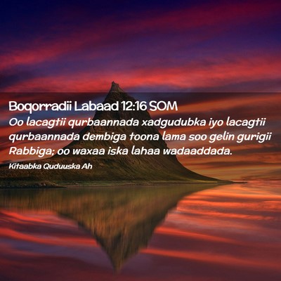 Picture 02 - Boqorradii Labaad 12:16 SOM - Oo lacagtii qurbaannada xadgudubka iyo lacagtii - Bible Verse Picture