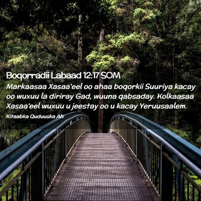 Picture 02 - Boqorradii Labaad 12:17 SOM - Markaasaa Xasaa'eel oo ahaa boqorkii Suuriya - Bible Verse Picture