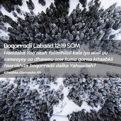 Picture 02 - Boqorradii Labaad 12:19 SOM - Haddaba Yoo'aash falimihiisii kale iyo wixii uu - Bible Verse Picture