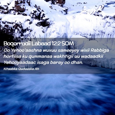 Picture 02 - Boqorradii Labaad 12:2 SOM - Oo Yehoo'aashna wuxuu sameeyey wixii Rabbiga - Bible Verse Picture