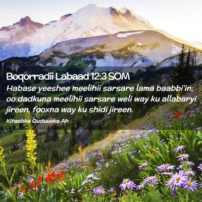 Picture 02 - Boqorradii Labaad 12:3 SOM - Habase yeeshee meelihii sarsare lama baabbi'in; - Bible Verse Picture