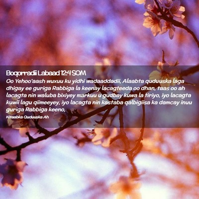 Picture 02 - Boqorradii Labaad 12:4 SOM - Oo Yehoo'aash wuxuu ku yidhi wadaaddadii, Alaabta - Bible Verse Picture
