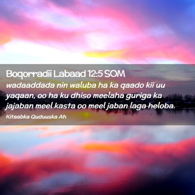 Picture 02 - Boqorradii Labaad 12:5 SOM - wadaaddada nin waluba ha ka qaado kii uu yaqaan, - Bible Verse Picture