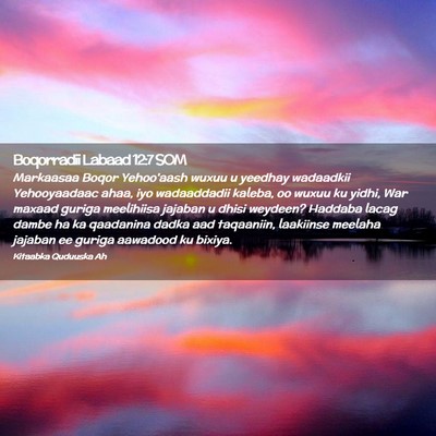 Picture 02 - Boqorradii Labaad 12:7 SOM - Markaasaa Boqor Yehoo'aash wuxuu u yeedhay - Bible Verse Picture