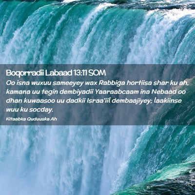 Picture 02 - Boqorradii Labaad 13:11 SOM - Oo isna wuxuu sameeyey wax Rabbiga hortiisa shar - Bible Verse Picture