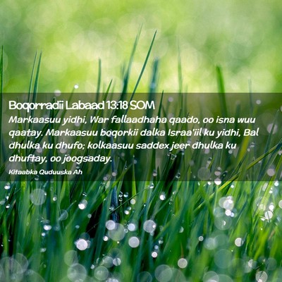 Picture 02 - Boqorradii Labaad 13:18 SOM - Markaasuu yidhi, War fallaadhaha qaado, oo isna - Bible Verse Picture