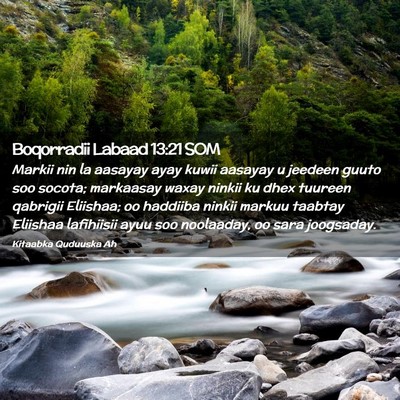 Picture 02 - Boqorradii Labaad 13:21 SOM - Markii nin la aasayay ayay kuwii aasayay u - Bible Verse Picture