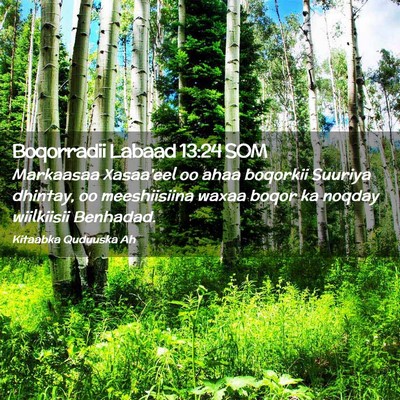 Picture 02 - Boqorradii Labaad 13:24 SOM - Markaasaa Xasaa'eel oo ahaa boqorkii Suuriya - Bible Verse Picture