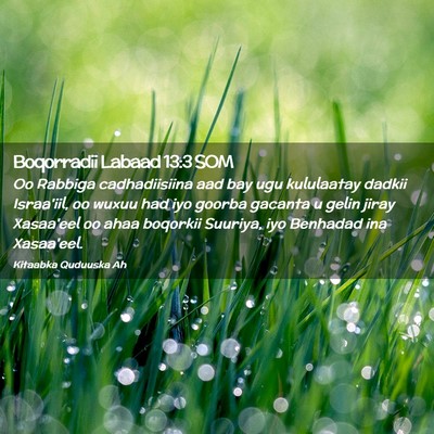 Picture 02 - Boqorradii Labaad 13:3 SOM - Oo Rabbiga cadhadiisiina aad bay ugu kululaatay - Bible Verse Picture