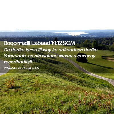 Picture 02 - Boqorradii Labaad 14:12 SOM - Oo dadka Israa'iil way ka adkaadeen dadka - Bible Verse Picture