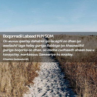 Picture 02 - Boqorradii Labaad 14:14 SOM - Oo wuxuu qaatay dahabkii iyo lacagtii oo dhan iyo - Bible Verse Picture