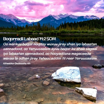 Picture 02 - Boqorradii Labaad 14:2 SOM - Oo markuu boqor noqday wuxuu jiray shan iyo - Bible Verse Picture