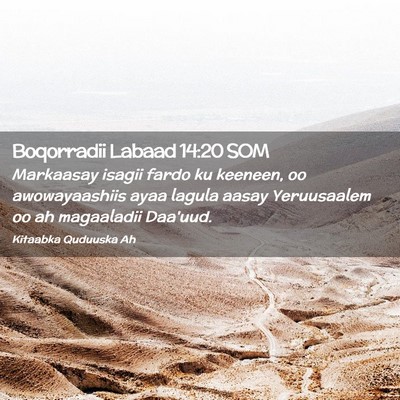 Picture 02 - Boqorradii Labaad 14:20 SOM - Markaasay isagii fardo ku keeneen, oo - Bible Verse Picture