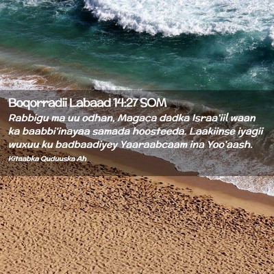 Picture 02 - Boqorradii Labaad 14:27 SOM - Rabbigu ma uu odhan, Magaca dadka Israa'iil waan - Bible Verse Picture