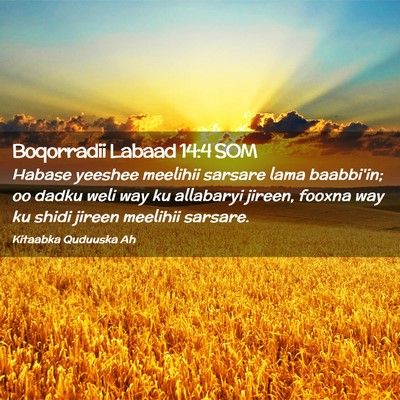 Picture 02 - Boqorradii Labaad 14:4 SOM - Habase yeeshee meelihii sarsare lama baabbi'in; - Bible Verse Picture