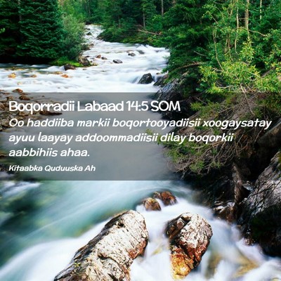 Picture 02 - Boqorradii Labaad 14:5 SOM - Oo haddiiba markii boqortooyadiisii xoogaysatay - Bible Verse Picture