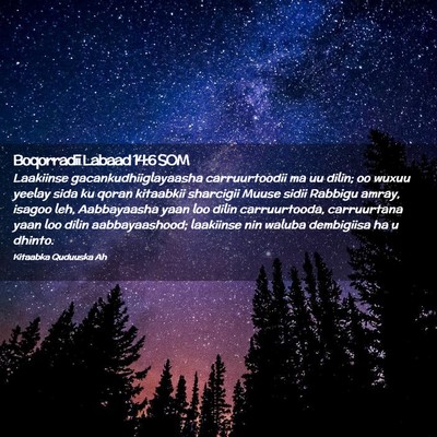 Picture 02 - Boqorradii Labaad 14:6 SOM - Laakiinse gacankudhiiglayaasha carruurtoodii ma - Bible Verse Picture