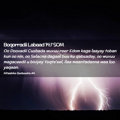 Picture 02 - Boqorradii Labaad 14:7 SOM - Oo Dooxadii Cusbada wuxuu reer Edom kaga laayay - Bible Verse Picture