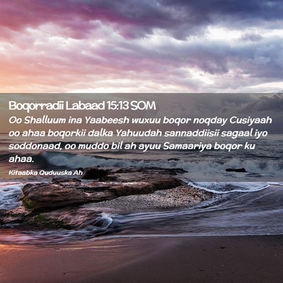 Picture 02 - Boqorradii Labaad 15:13 SOM - Oo Shalluum ina Yaabeesh wuxuu boqor noqday - Bible Verse Picture