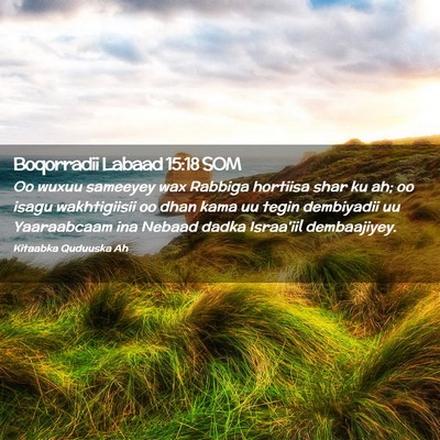 Picture 02 - Boqorradii Labaad 15:18 SOM - Oo wuxuu sameeyey wax Rabbiga hortiisa shar ku - Bible Verse Picture