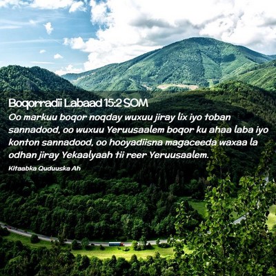 Picture 02 - Boqorradii Labaad 15:2 SOM - Oo markuu boqor noqday wuxuu jiray lix iyo toban - Bible Verse Picture