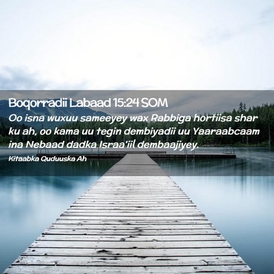 Picture 02 - Boqorradii Labaad 15:24 SOM - Oo isna wuxuu sameeyey wax Rabbiga hortiisa shar - Bible Verse Picture