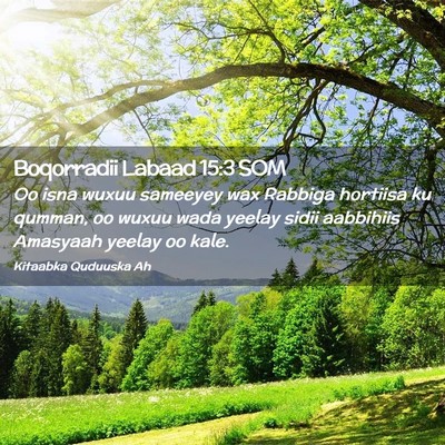 Picture 02 - Boqorradii Labaad 15:3 SOM - Oo isna wuxuu sameeyey wax Rabbiga hortiisa ku - Bible Verse Picture