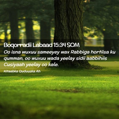 Picture 02 - Boqorradii Labaad 15:34 SOM - Oo isna wuxuu sameeyey wax Rabbiga hortiisa ku - Bible Verse Picture