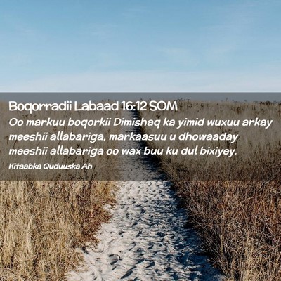 Picture 02 - Boqorradii Labaad 16:12 SOM - Oo markuu boqorkii Dimishaq ka yimid wuxuu arkay - Bible Verse Picture