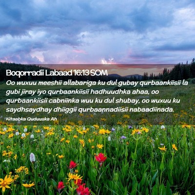 Picture 02 - Boqorradii Labaad 16:13 SOM - Oo wuxuu meeshii allabariga ku dul gubay - Bible Verse Picture