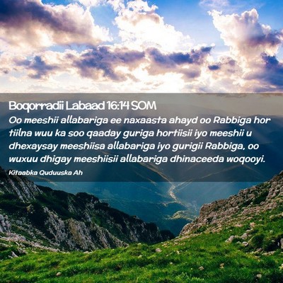 Picture 02 - Boqorradii Labaad 16:14 SOM - Oo meeshii allabariga ee naxaasta ahayd oo - Bible Verse Picture