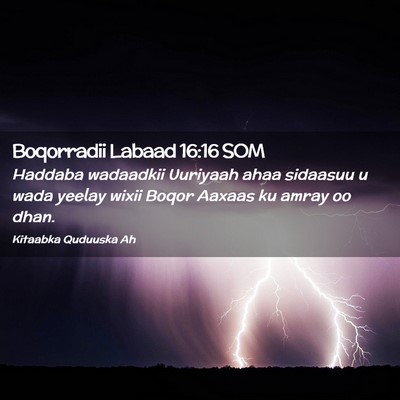 Picture 02 - Boqorradii Labaad 16:16 SOM - Haddaba wadaadkii Uuriyaah ahaa sidaasuu u wada - Bible Verse Picture