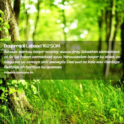 Picture 02 - Boqorradii Labaad 16:2 SOM - Aaxaas markuu boqor noqday wuxuu jiray labaatan - Bible Verse Picture
