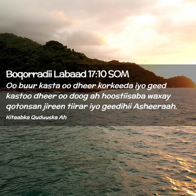 Picture 02 - Boqorradii Labaad 17:10 SOM - Oo buur kasta oo dheer korkeeda iyo geed kastoo - Bible Verse Picture