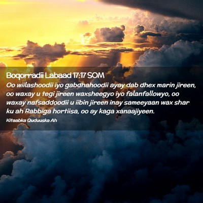 Picture 02 - Boqorradii Labaad 17:17 SOM - Oo wiilashoodii iyo gabdhahoodii ayay dab dhex - Bible Verse Picture