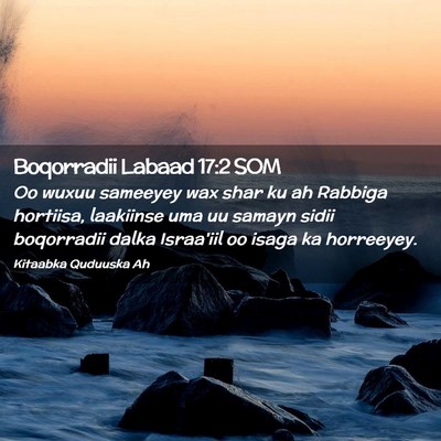 Picture 02 - Boqorradii Labaad 17:2 SOM - Oo wuxuu sameeyey wax shar ku ah Rabbiga - Bible Verse Picture