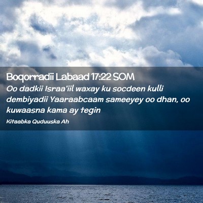 Picture 02 - Boqorradii Labaad 17:22 SOM - Oo dadkii Israa'iil waxay ku socdeen kulli - Bible Verse Picture